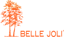Belle Joli orange logo